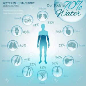 testünk 70-80 %-a víz